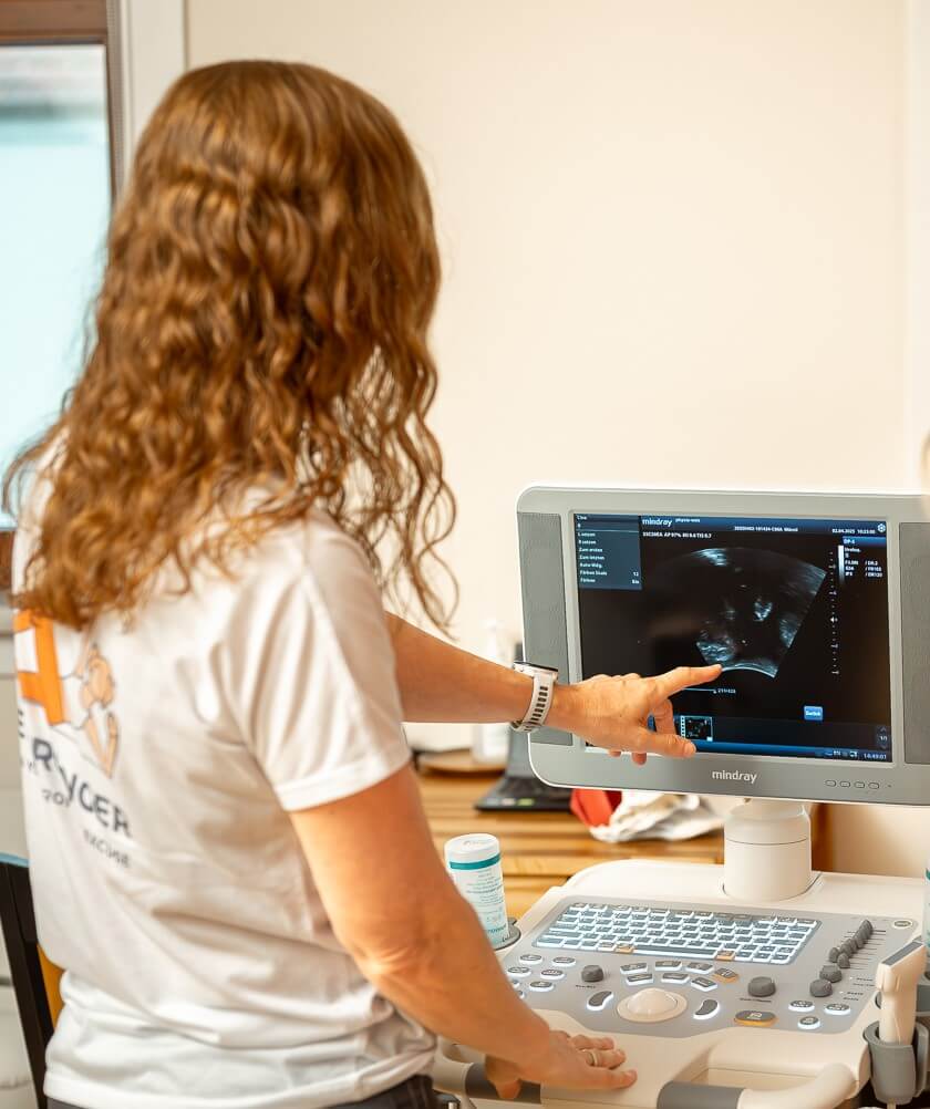 20250724_IrenePhysioAbsdorf_189-Web_Schnitt02 Ultraschallgerät mit Bild eines männlichen Beckenbodens, die Therapeutin zeigt auf Beild des Beckenbodens